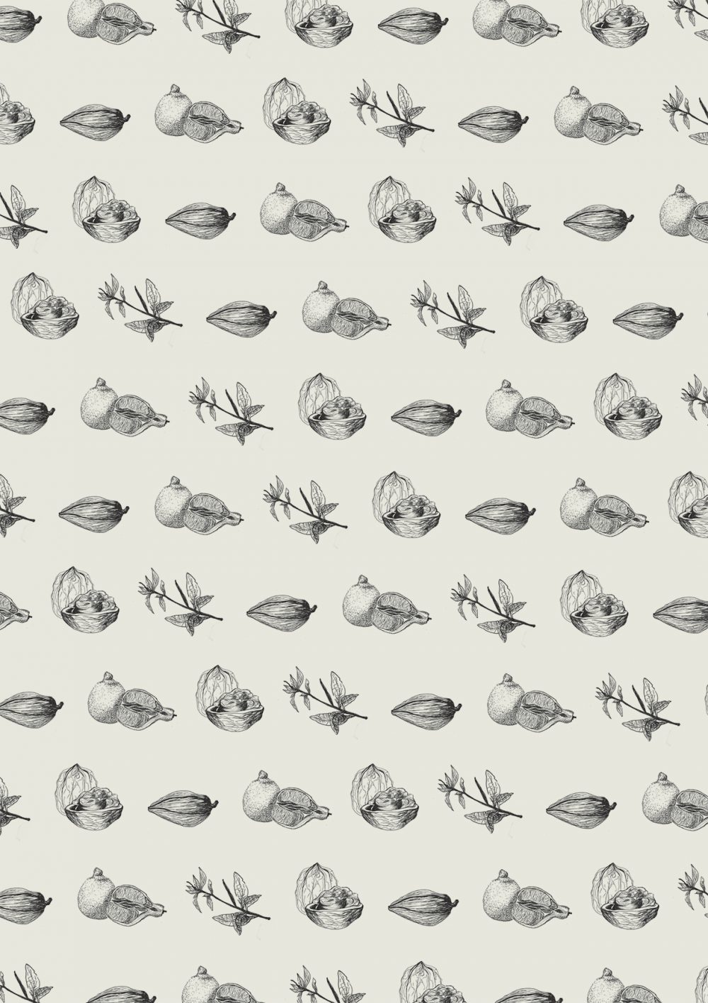 Equator road_illustration